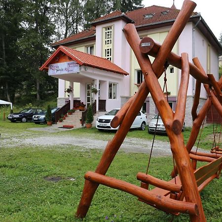 Pension Rose-Trandafirul Borsec Εξωτερικό φωτογραφία