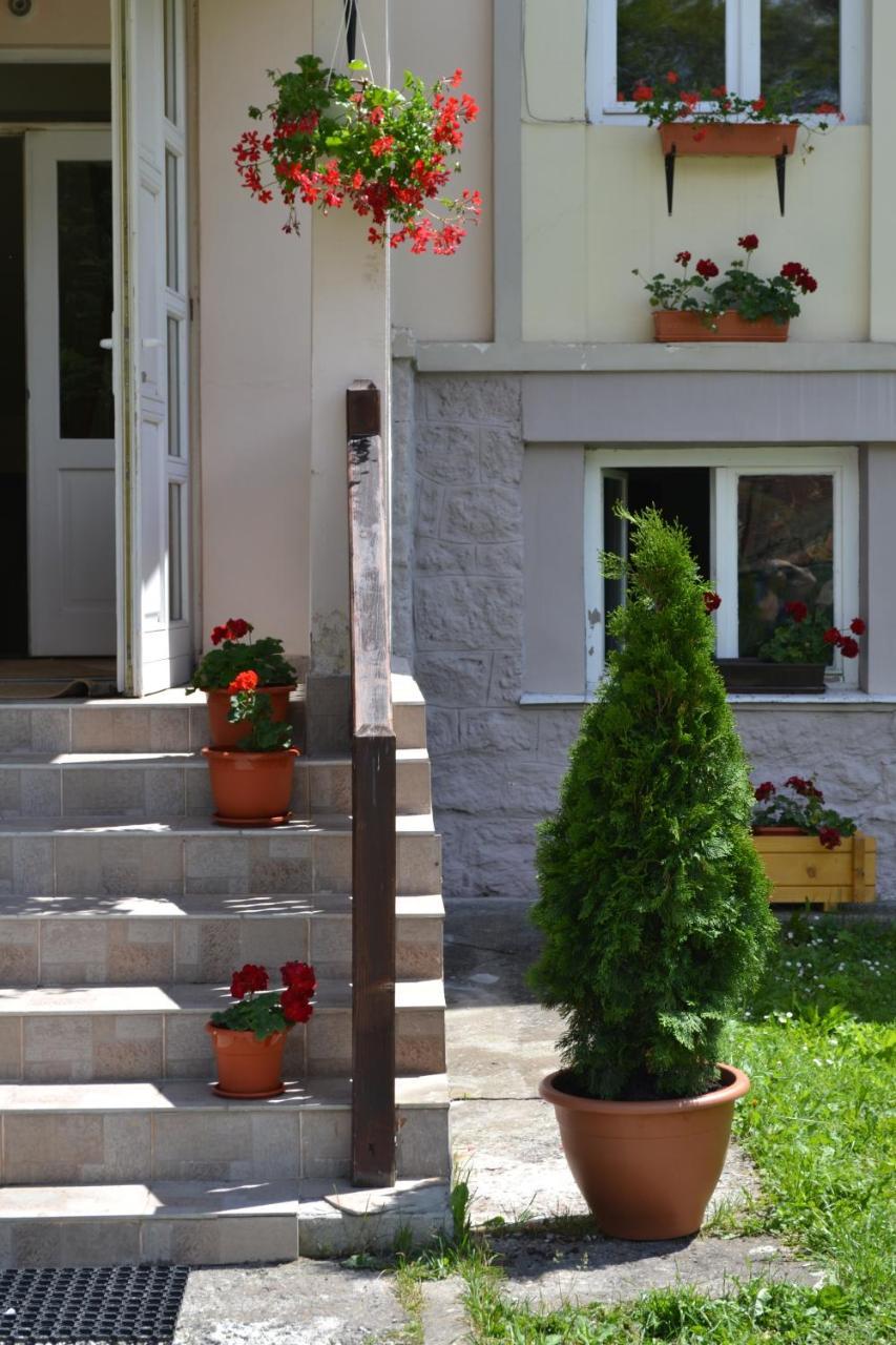 Pension Rose-Trandafirul Borsec Εξωτερικό φωτογραφία