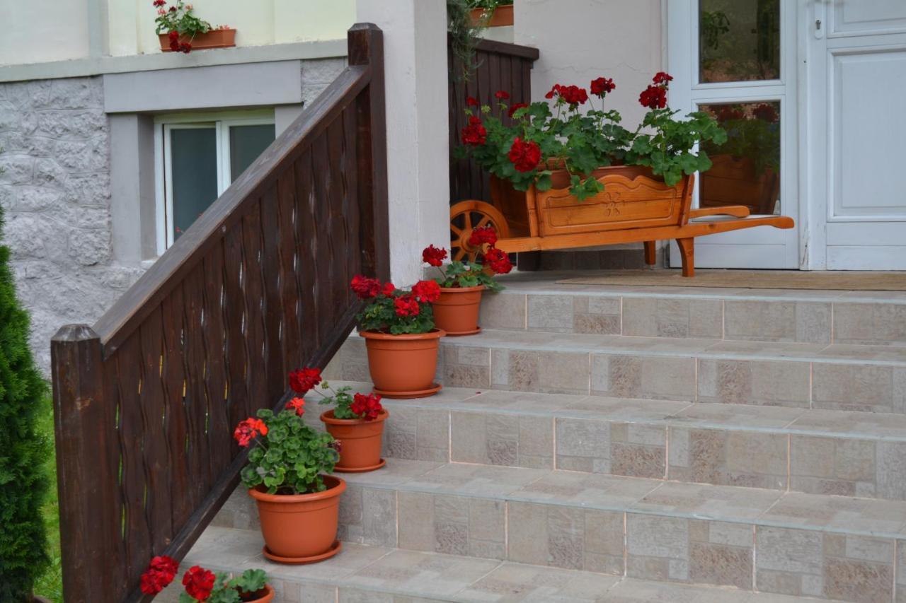 Pension Rose-Trandafirul Borsec Εξωτερικό φωτογραφία